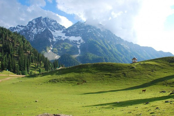Kashmir