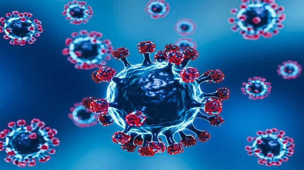 Covid cases rise in India
