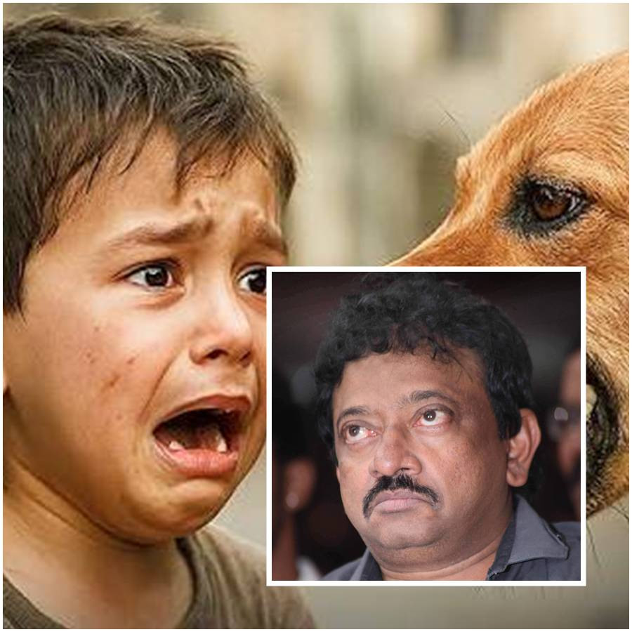 Ramu questions dog lovers