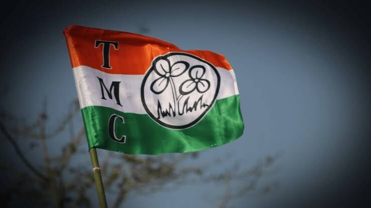 TMC councilor case