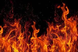 Kolkata Mandevilla Gardens Fire