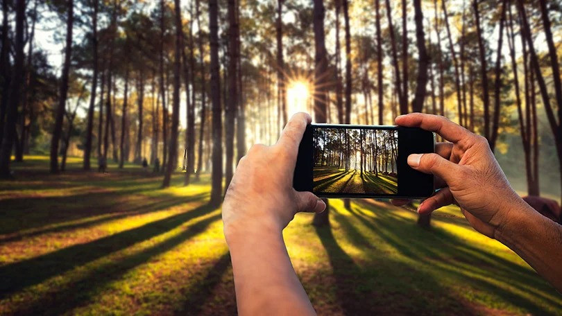Tips and Tricks for Better Smartphone Photos