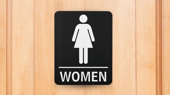 Public Toilets For Women